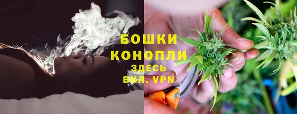 ешки Алексин