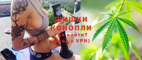 ешки Алексин