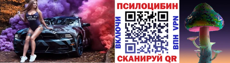 Галлюциногенные грибы Psilocybe  Волгодонск 