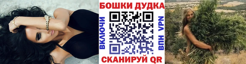 МАРИХУАНА SATIVA & INDICA  как найти   Волгодонск 